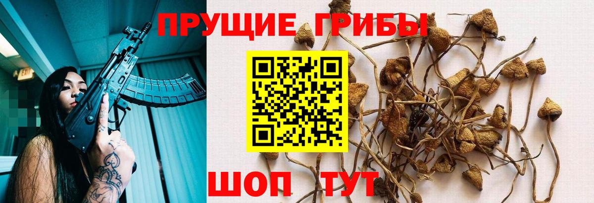 Псилоцибиновые грибы мухоморы Можга