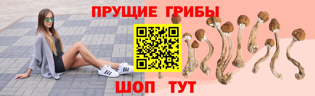 Можга  как найти закладки  Вход с VPN  Галлюциногенные грибы ЛСД 
