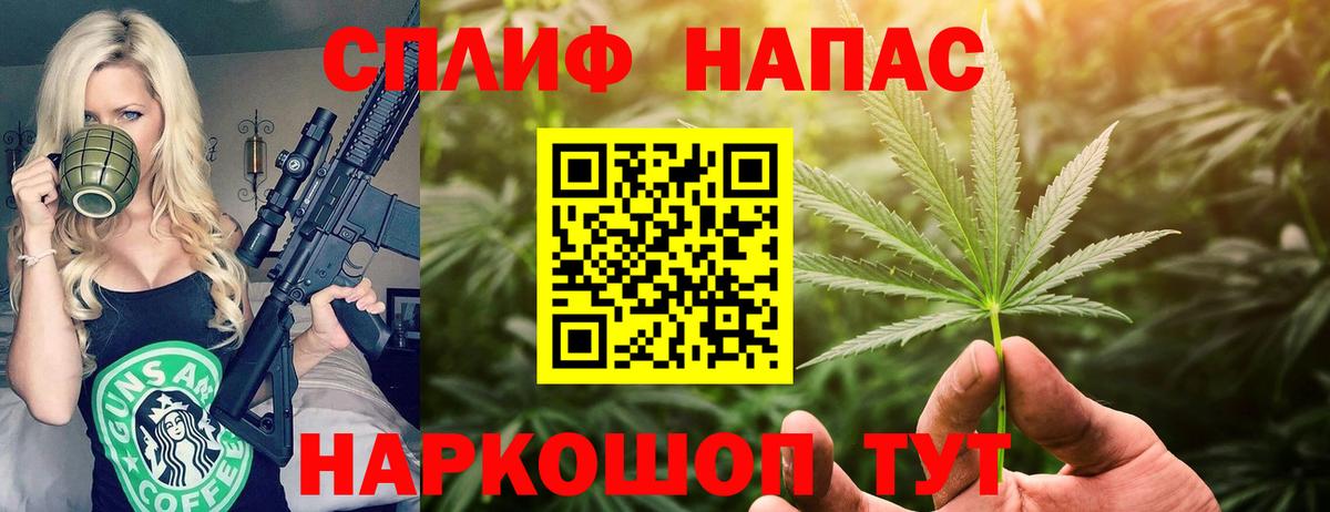 Канабис гибрид Можга